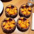 Fresh Sea Urchin Roe in Shell