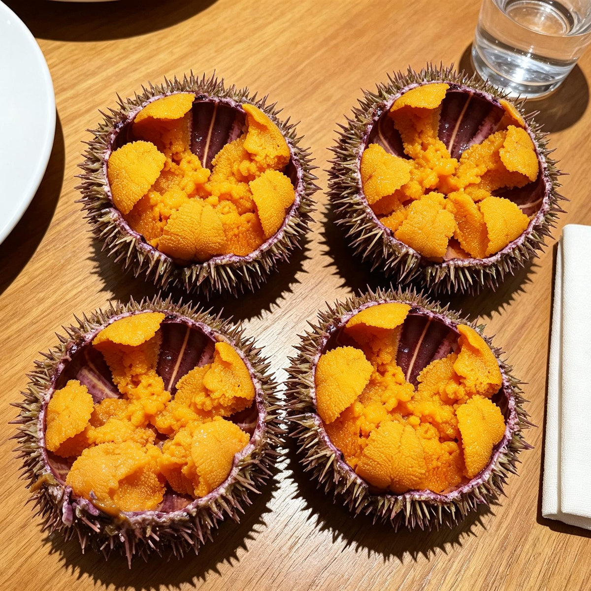Fresh Sea Urchin Roe in Shell
