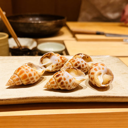 Fresh Spotted Sea Snail Conch Delicacy